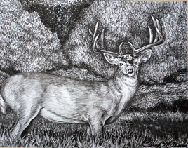 Oh Deer Pen in Ink copyright Teresa LC Ahmad