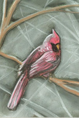 Winter Cardinal pastel copyright Teresa LC Ahmad