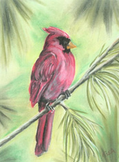 Cardinal in the Pines pastel copyright Teresa LC Ahmad
