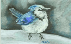 Hi There Bluejay in pastel copyright Teresa LC Ahmad